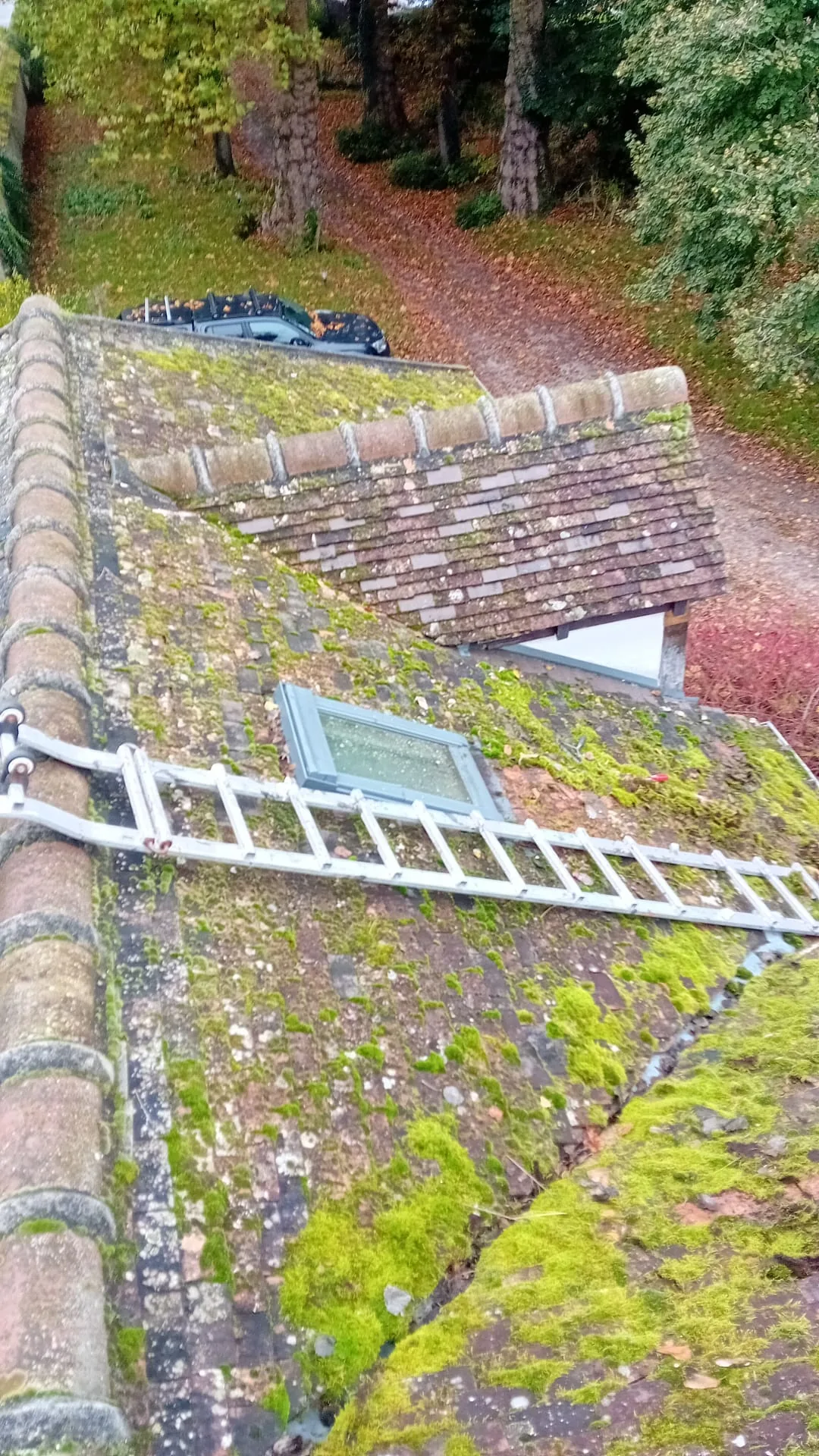 Mousses présentes sur une toiture en tuiles avant intervention